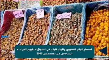 أسعار البلح السيوي وأنواع البلح في أسواق مطروح الأربعاء السادس من أغسطس 2025